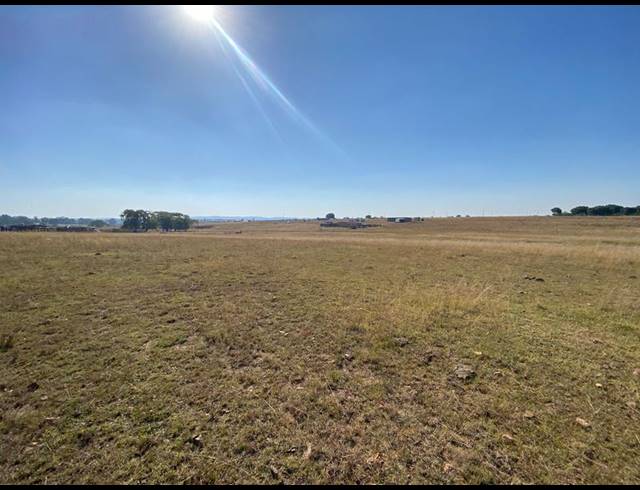 FARM FOR SALE IN MEYERTON